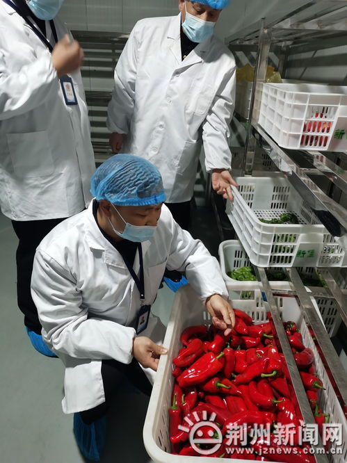 21種高風險食品禁入中小學(xué)幼兒園 沙市區(qū)開展專項檢查