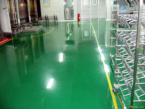 亳州潔凈防塵無溶劑環(huán)氧樹脂自流平地坪